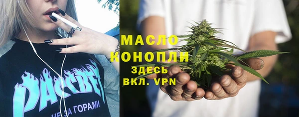 сатива Бородино