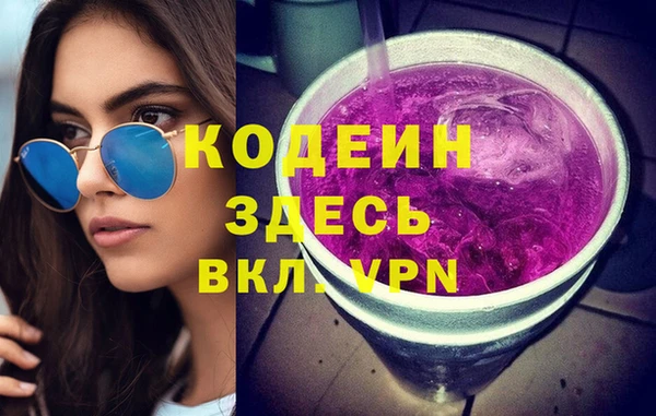 сатива Бородино