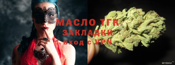 сатива Бородино