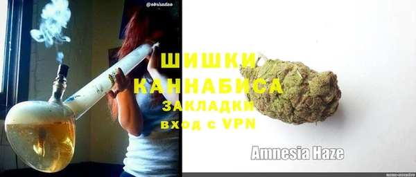 сатива Бородино