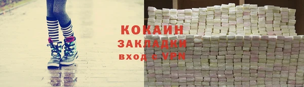 сатива Бородино