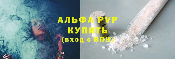 сатива Бородино