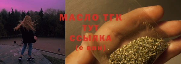 сатива Бородино