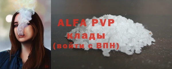 сатива Бородино