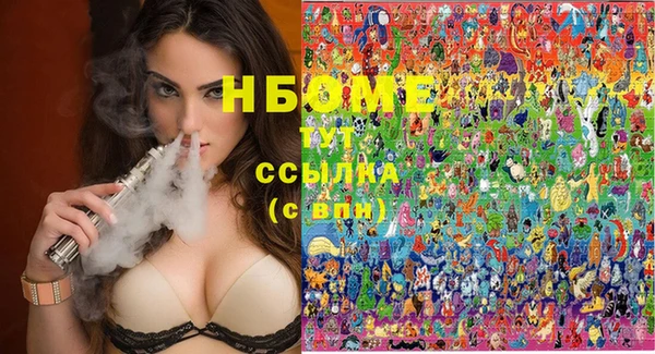 сатива Бородино
