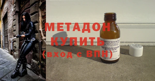сатива Бородино