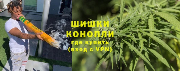 сатива Бородино