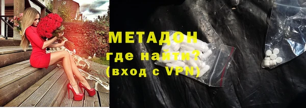 сатива Бородино