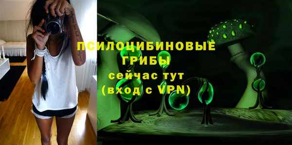 сатива Бородино