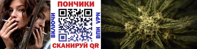 Бошки марихуана ГИДРОПОН  Купить где  Куйбышев 